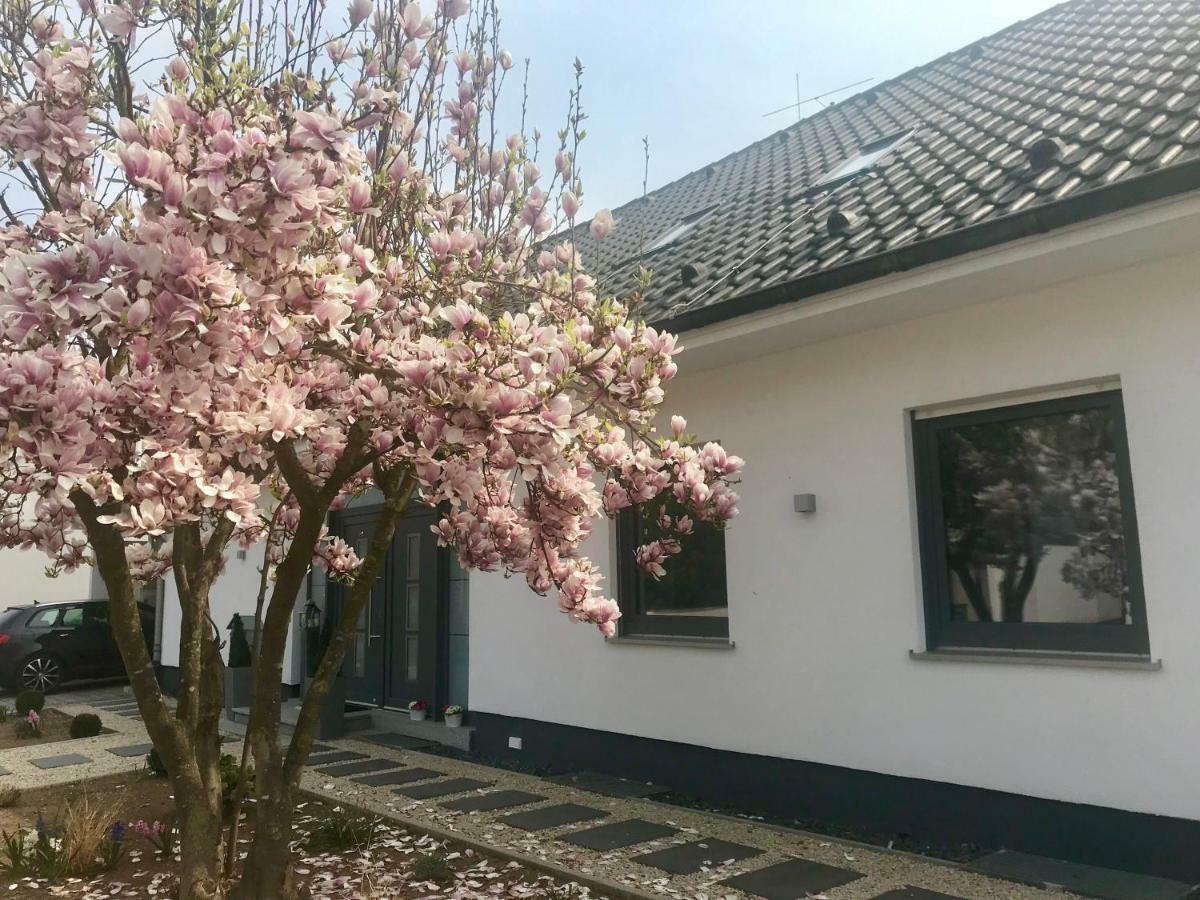 술츠펠드암마인 Weinurlaub 아파트 외부 사진